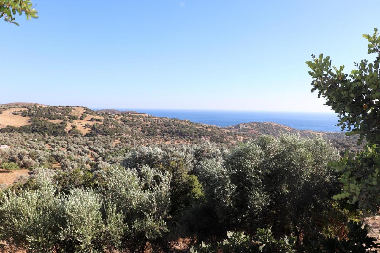 Amathianis Villa Triopetra Exteriör bild